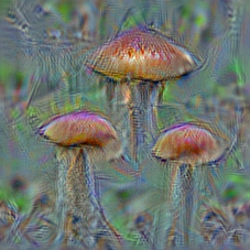 n07734744